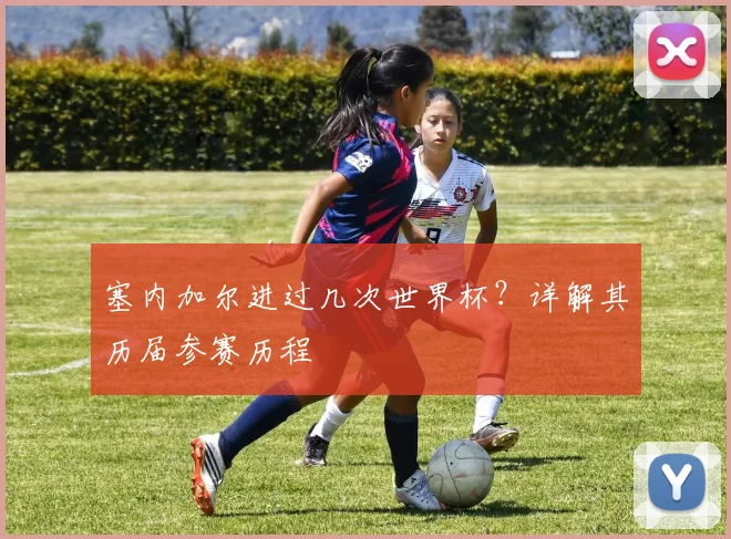 塞内加尔进过几次世界杯？详解其历届参赛历程