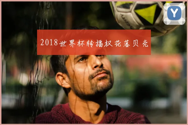 2018世界杯转播权花落贝壳