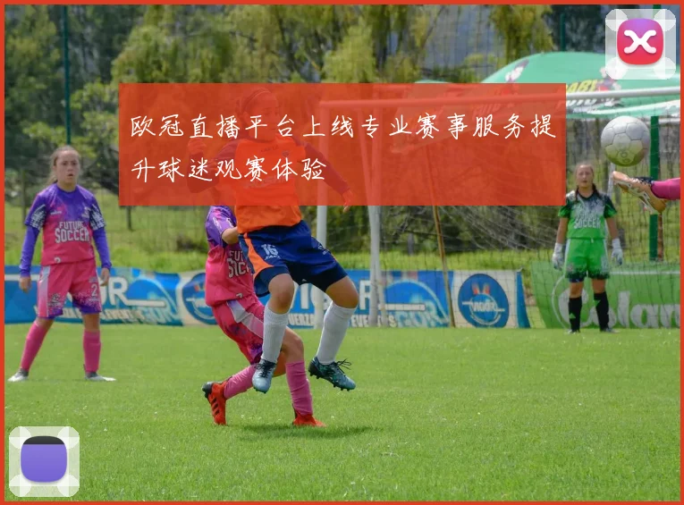 欧冠直播平台上线专业赛事服务提升球迷观赛体验
