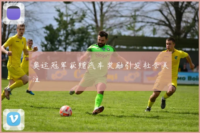 奥运冠军获赠汽车奖励引发社会关注