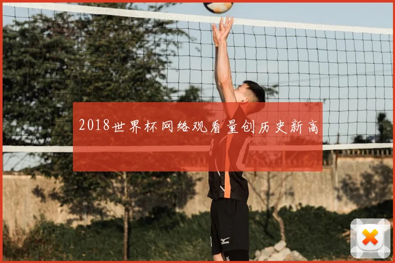 2018世界杯网络观看量创历史新高