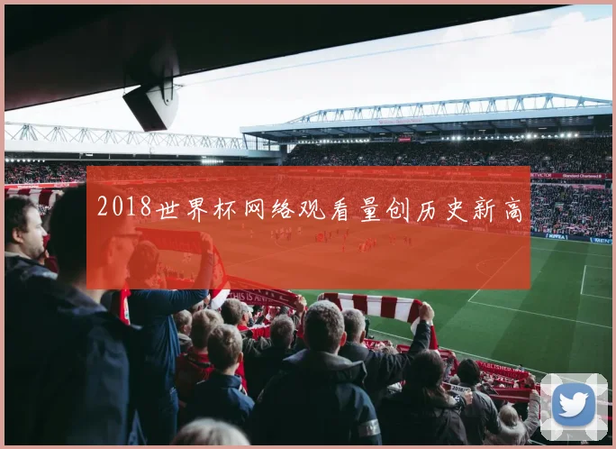 2018世界杯网络观看量创历史新高