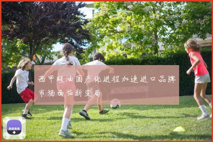 西甲硅油国产化进程加速进口品牌市场面临新变局