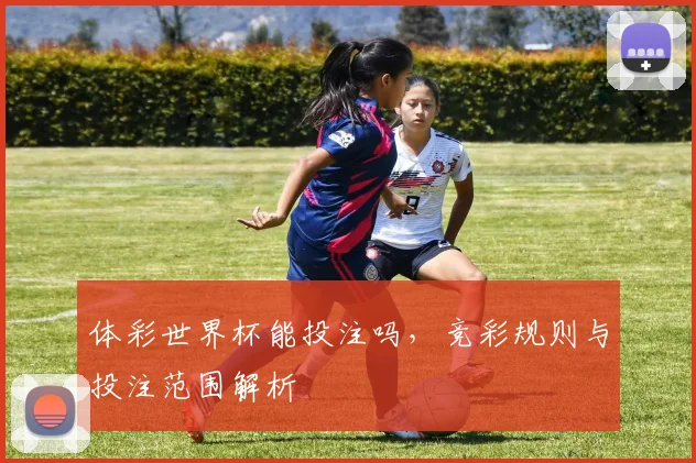 体彩世界杯能投注吗，竞彩规则与投注范围解析